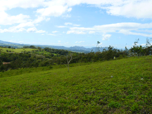 The La Tejona hills are broad and complex with views both to the lake and to the Guanacaste lowlands. 